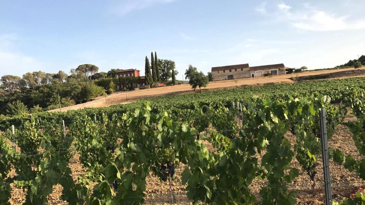 Chateau Du Grand Jas Entrecasteaux المظهر الخارجي الصورة