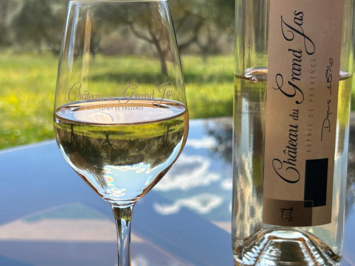 Chateau Du Grand Jas Entrecasteaux المظهر الخارجي الصورة